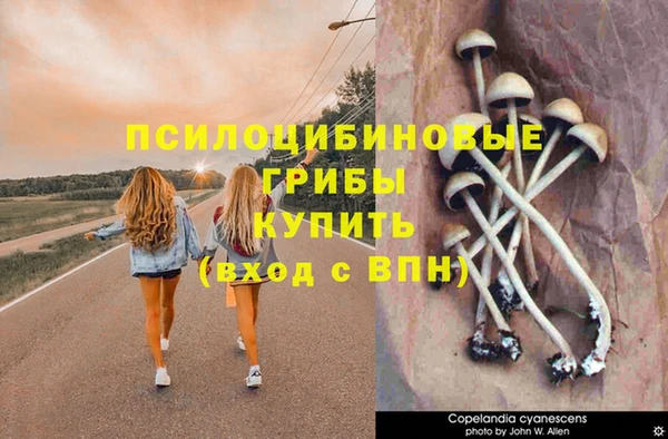 кокаин колумбия Белокуриха