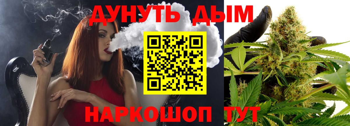 Конопля сатива Гулькевичи